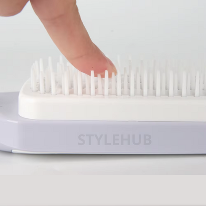 Cepillo EasyBrush (2x1)